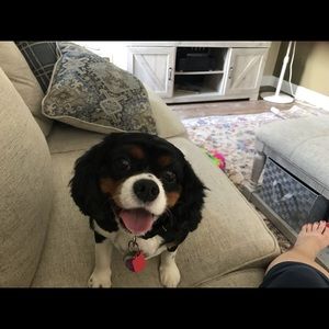 Meet your Posher, Wendy